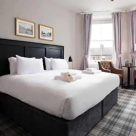 The - The Collection Group Kro