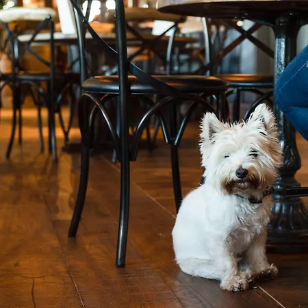 The - The Collection Group Penzion