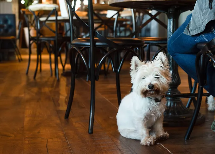 The - The Collection Group Inn